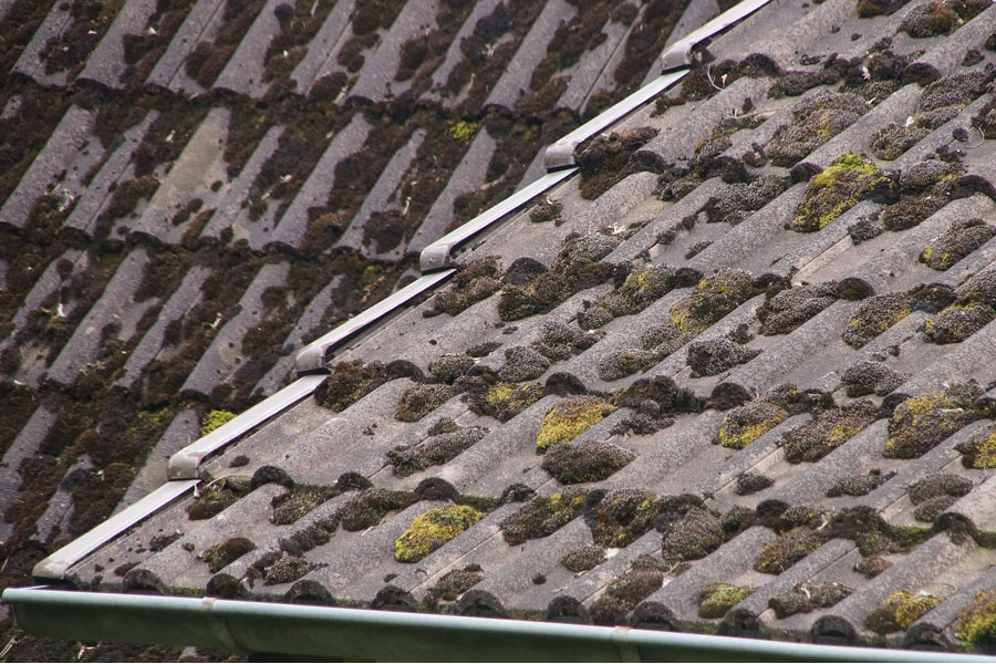 Comment procéder au démoussage d'un toit et le protéger durablement ?